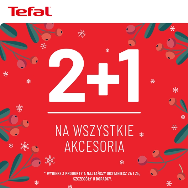 Grudniowe promocje w TEFAL