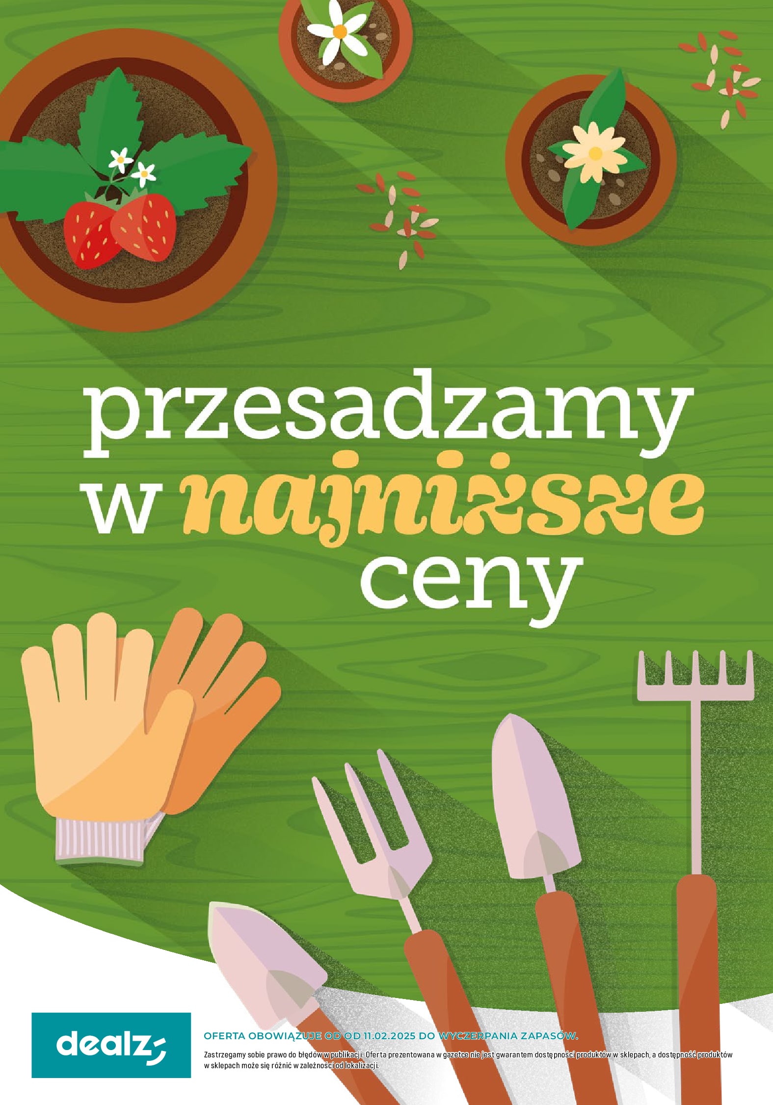 Dealz: Przesadzamy w najniższe ceny
