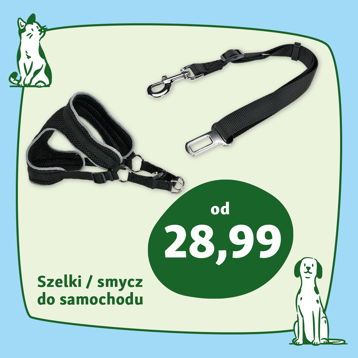 Maxi Zoo: Wycieczki z psem