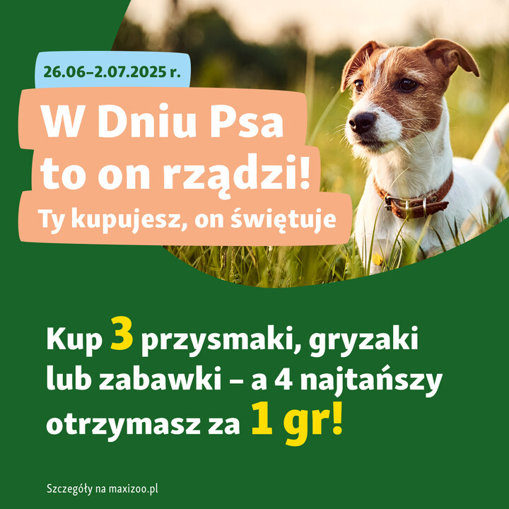 Maxi Zoo: Dzień Psa